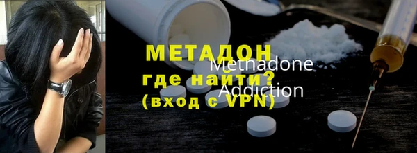 сатива Новозыбков