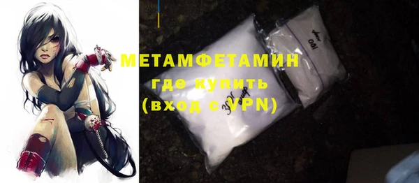 сатива Новозыбков