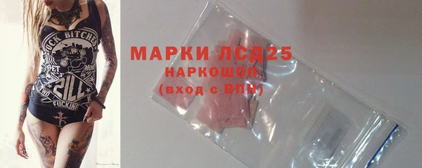 сатива Новозыбков
