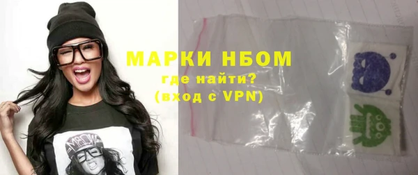 сатива Новозыбков