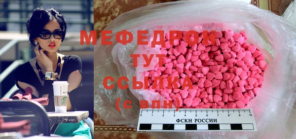 сатива Новозыбков
