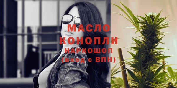 сатива Новозыбков