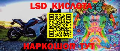 дмт Донской