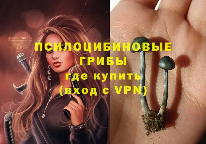 Псилоцибиновые грибы Magic Shrooms  маркетплейс состав  Кудрово  купить  цена 