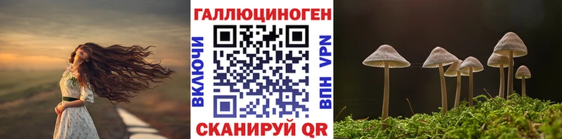 Псилоцибиновые грибы Psilocybine cubensis  Кудрово 
