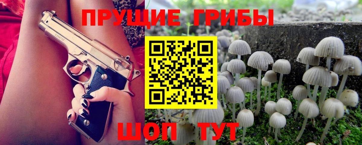 Галлюциногенные грибы мухоморы Кудрово