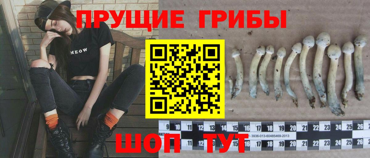 Кудрово  Галлюциногенные грибы мицелий  Вход с VPN 